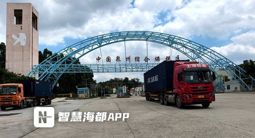 集拼出海，技術(shù)貿(mào)易雙驅(qū)動 前7個月泉州市保稅物流進(jìn)出口突破百億大關(guān)